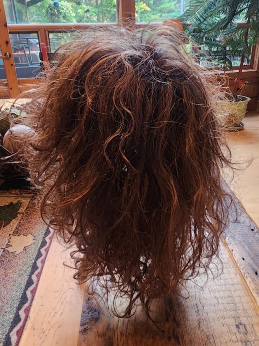 Ellen Wille Design Layered Curly Highlighted Wig Brown Blonde Mix - Picture 8 of 8